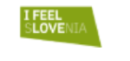 Logotip IFEEL 2026.png
